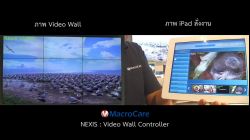 Signal Preview   iPad   NEXIS : Video Wall Controller H-Series