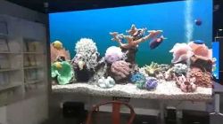 LANBO Ares 165inch 360 x 210cm