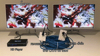 FE-W60IR