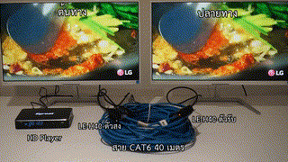 LE-H40  Cat6  40