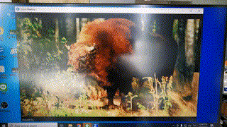 ผลทดสอบโซลูชั่น PC+NB=>UE3310=>CS18208=>UE3315=>PTZ312+UGH72P เข้า Zoom