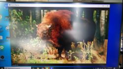 ผลทดสอบโซลูชั่น PC+NB=>UE3310=>CS18208=>UE3315=>PTZ312+UGH72P เข้า Zoom